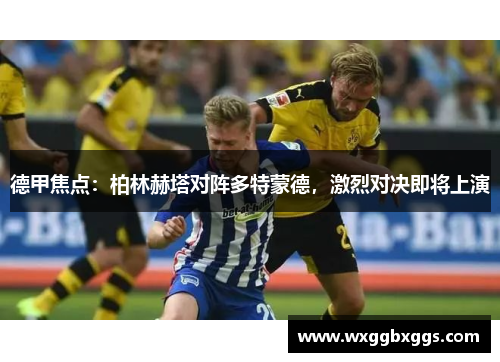 德甲焦点：柏林赫塔对阵多特蒙德，激烈对决即将上演